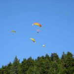 Paragliders coming down from the top of the mountain.