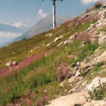 The view up the mountain.