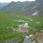 Fern Mine. Photo by Kelsey Gray.