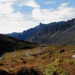 Valley. Photo by Ariel McGoldrick.