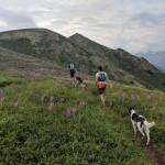 Crossing the top of Bear Mountain, headed towards Mt. Eklutna