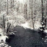 Campbell Creek in winter