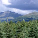 View from Rondy Trail