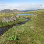 Small creek running out of a tarn