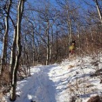 Trail up. Photo by Molly Bee.