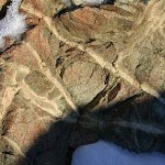 Glacier Rock. Photo by Molly Bee.