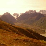 Fall tundra. Photo by Jennifer DuFord.