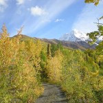On the way. Photo by Jennifer DuFord.