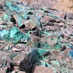 Copper. Photo by Ross Timm.