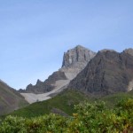 Jumbo tram. Photo by Ross Timm.
