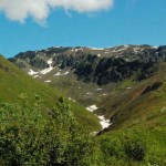 Tree line. Photo by Jon B.