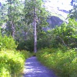 Trail leading up to the glacier. Photo by Tina Rick.