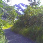 Trail leading up to the glacier. Photo by Tina Rick.