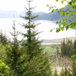 View from Lowell Point. Photo by Parke Cannon.