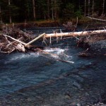 Photo by Turner Vail