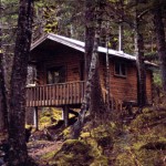 Derby Cove Cabin
