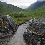 Creek. Photo by Molly Bee.