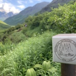 Historic Iditarod Trail sign