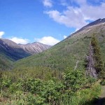 Heading into the groove