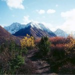 South Fork. Photo by Frank Baker.