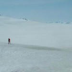 Walking on the icefield. Photo by Frank Baker.