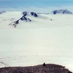Harding Icefield. Photo by Ross Timm.