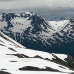 New snow. Photo by Phil Armitage.