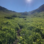 Hiking across the field before the climb to the summit.