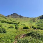 The trail towards the summit.