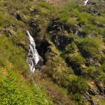 Photo by Philip Walters.