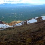 Photo by Philip Walters.