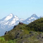 Photo by Bill Walker.