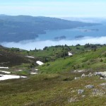 Bay View. Photo by Bill Walker.