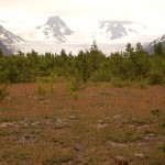 Grewingk Valley Trail