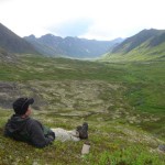 North Fork Ship Creek. Photo by Frank Baker.