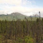 View from Hidden Creek Loop