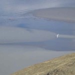 Small bore tide. Photo by Ross Timm.