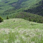 Steep bluff. Photo by Ross Timm.