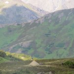 Perfect spot to setup camp