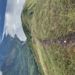 Looking back down the lower ridge towards the Turnagain Arm below.