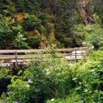 Bridge #3 North Side