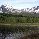 South end of Johnson Lake