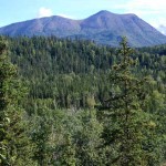 Kenai Mountains