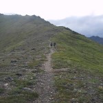 Trail. Photo by Tony Lutes.