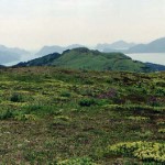 View of Resurrection Bay