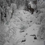 Frozen falls