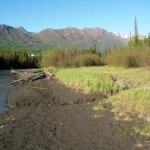 River bank. Photo by Travis Minsch.