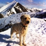 Approaching the peak (pointy peak in background). Photo by Amy Olson.