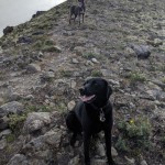 Happy doggos just below the peak.