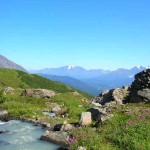 Bowl north. Photo by Ross Timm.